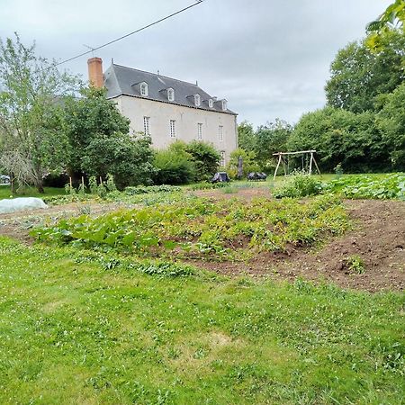 Les Grands-Aulnais Bed and Breakfast Cossé-le-Vivien Exteriör bild