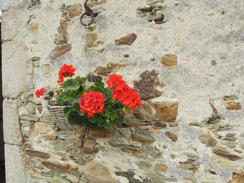 Les Grands-Aulnais Bed and Breakfast Cossé-le-Vivien Exteriör bild