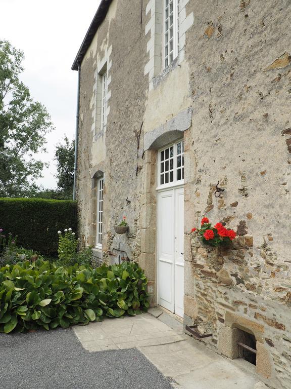 Les Grands-Aulnais Bed and Breakfast Cossé-le-Vivien Exteriör bild